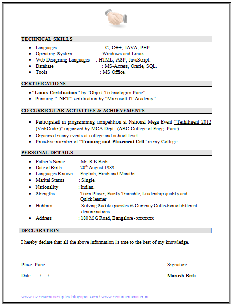 Resume english language translator position
